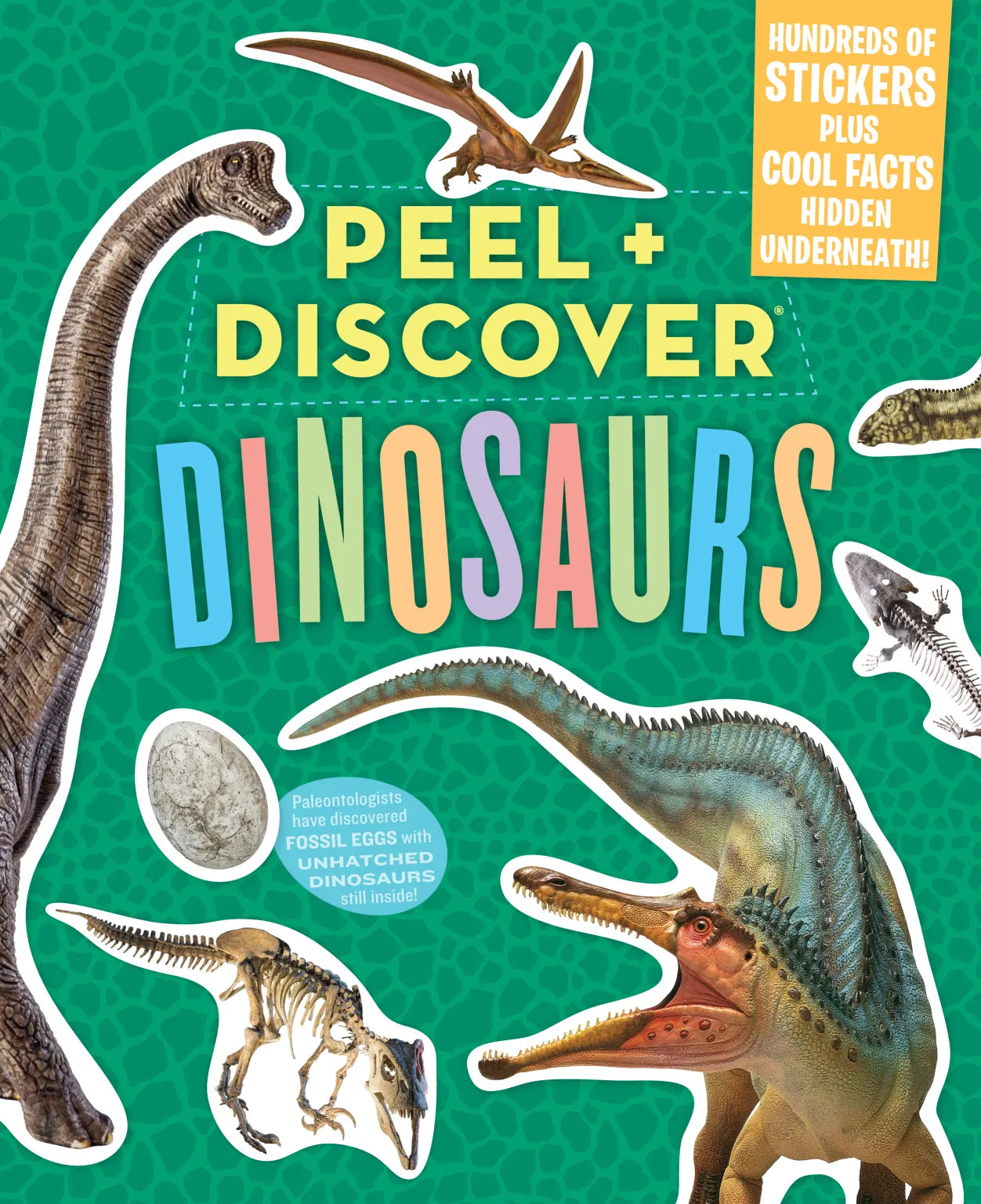 Peel + Discover | Dinosaurs