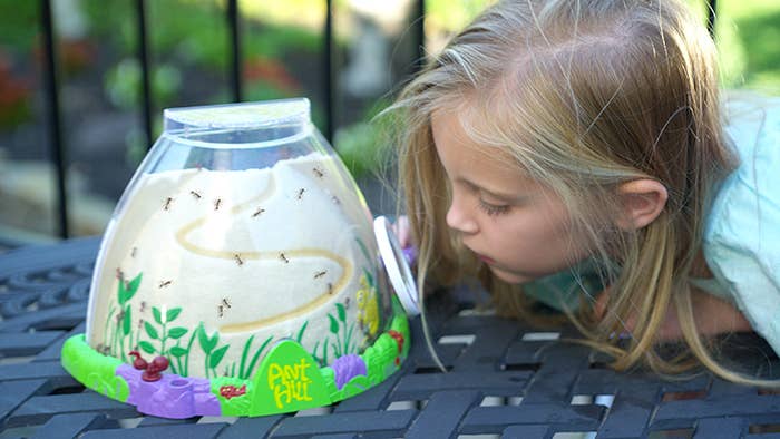 ANT HILL TUNNELING KIT WITH PREPAID VOUCHER