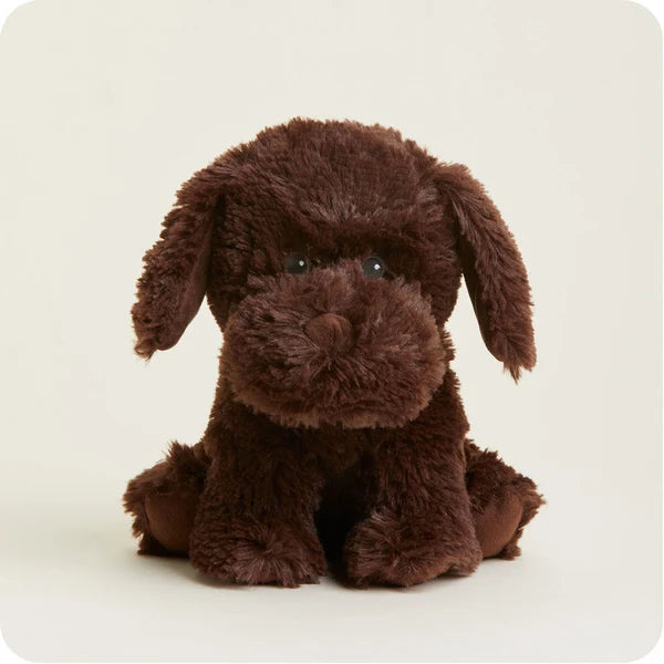 Chocolate Labrador | Warmies