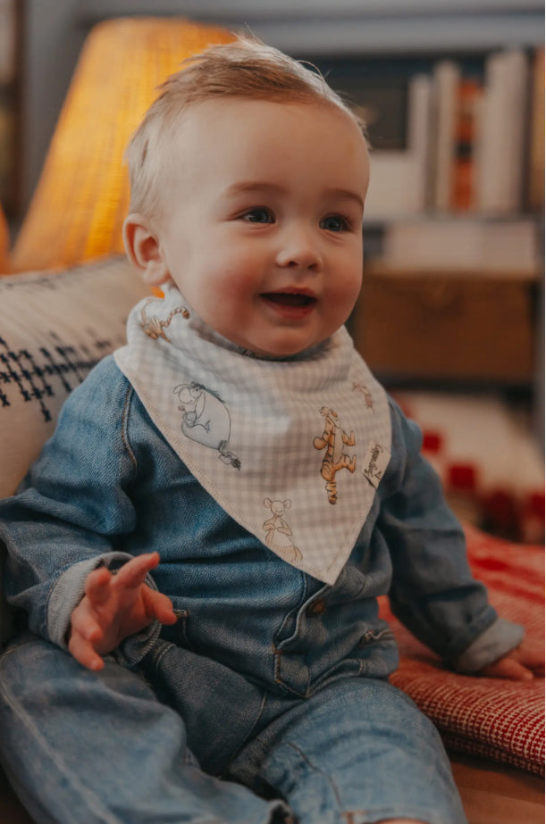 Copper Pearl Single Bandana Bibs - Hundred Acre Wood