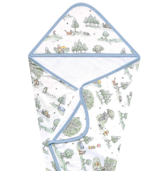 Hundred Acre Wood- Premium Knit Hooded Towel