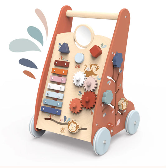 Multi-Activity Push Toy