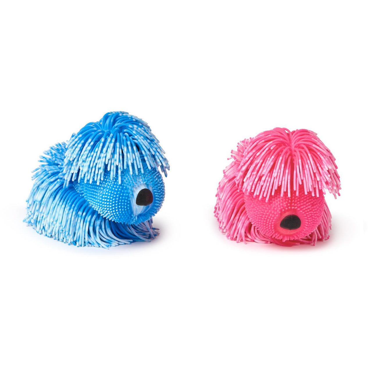 Happy Wiggly Puffer Dog