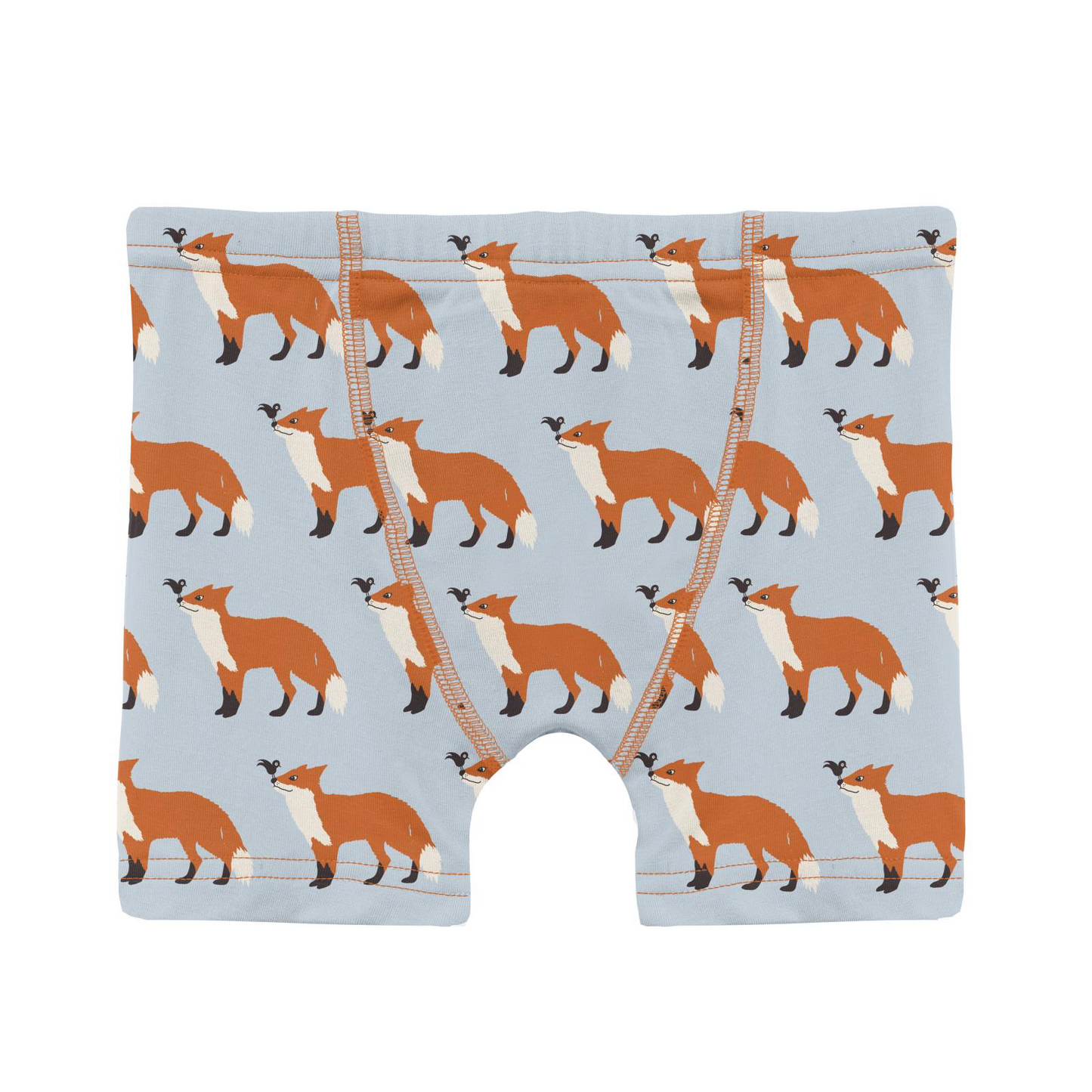 Illusion Blue Fox & The Crow Boy's Boxer Brief