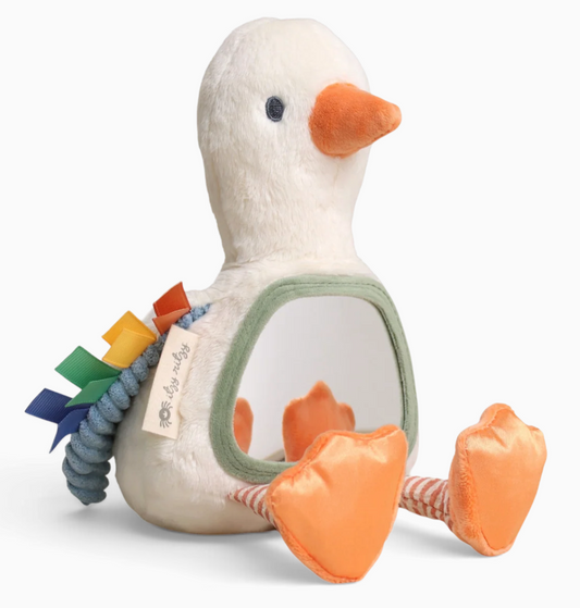 Itzy Ritzy | Mirror Goose