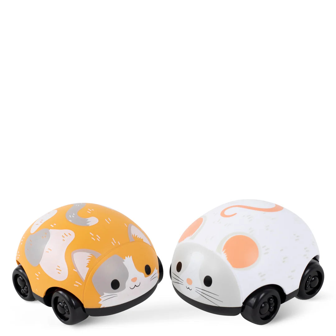 Zoomies | Cat and Mouse