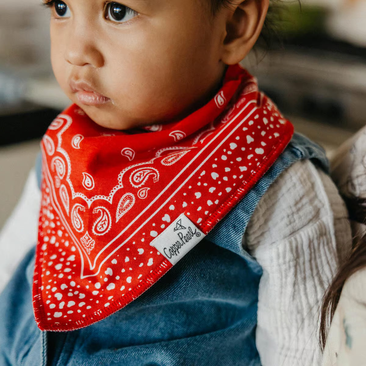 Single Bandana Bib | Boone