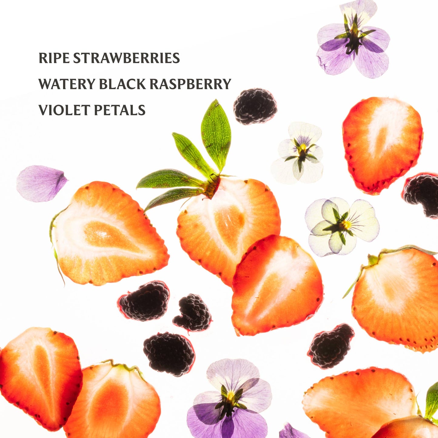 Berry Bliss | Power Mist Hand Sanitizer
