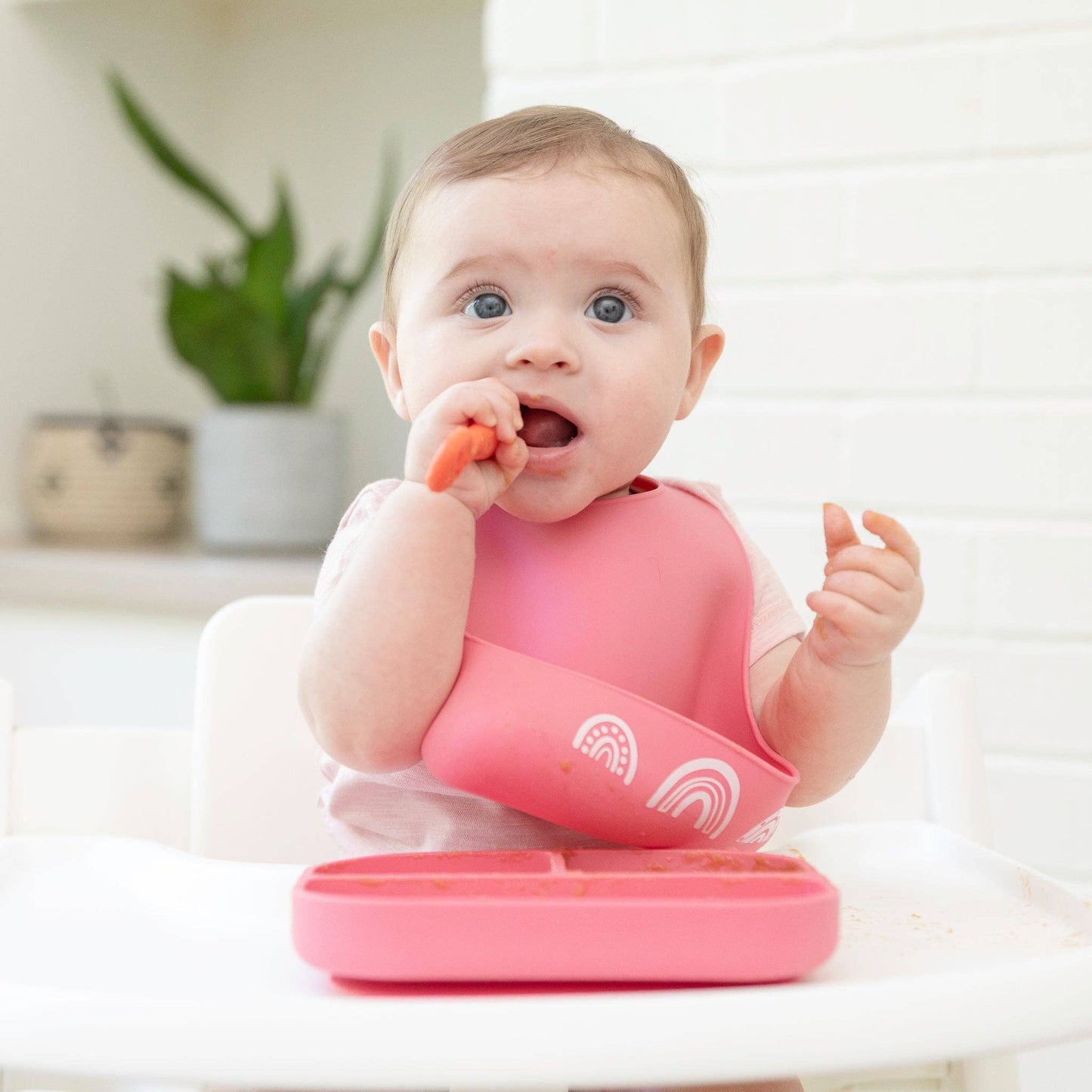 Garden Party | Learn to Eat Beginner Bundle