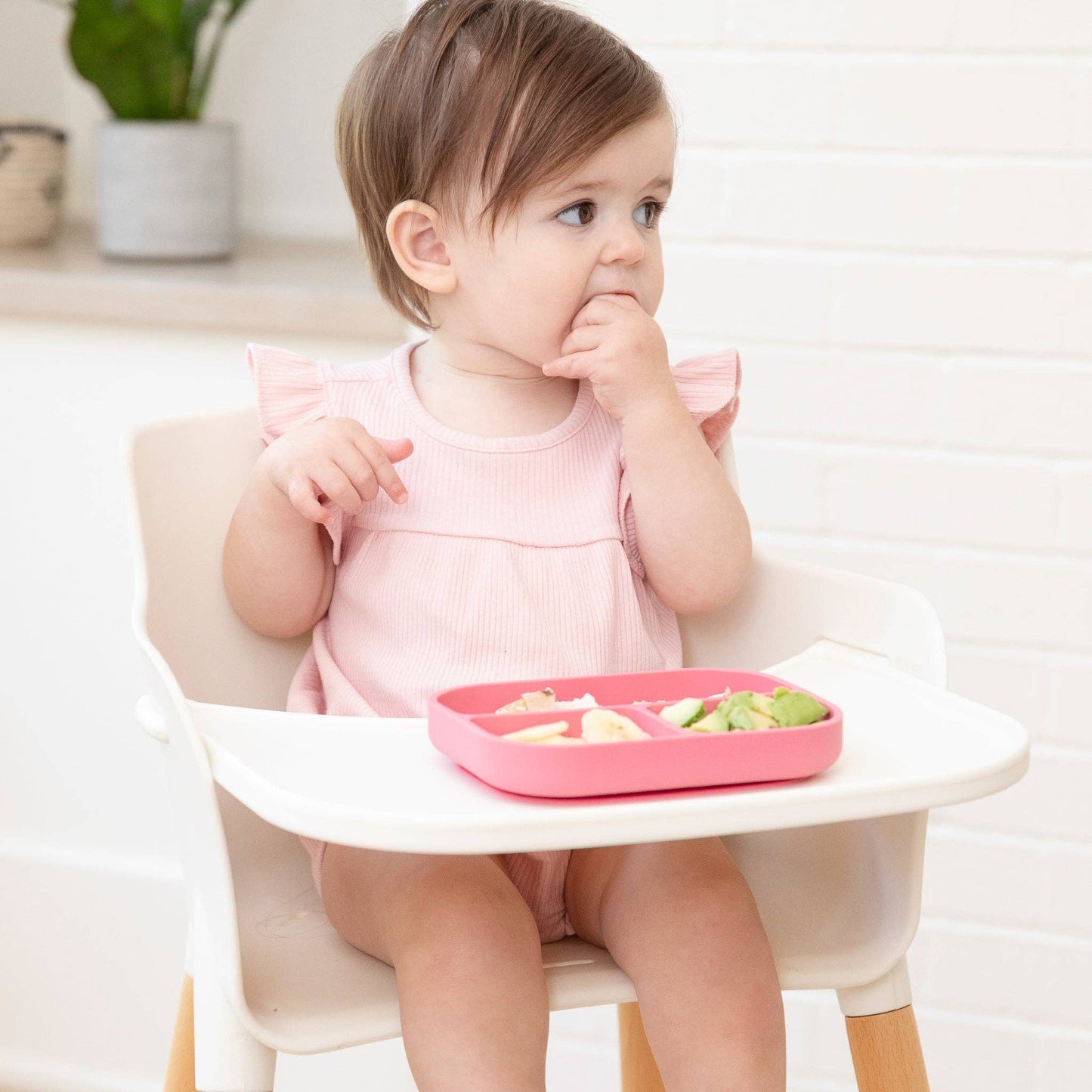 Garden Party | Learn to Eat Beginner Bundle