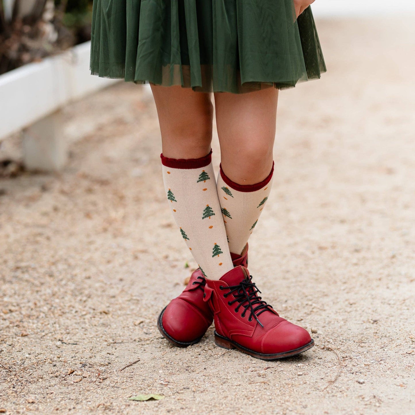 Tree Farm | Scalloped Knee Socks