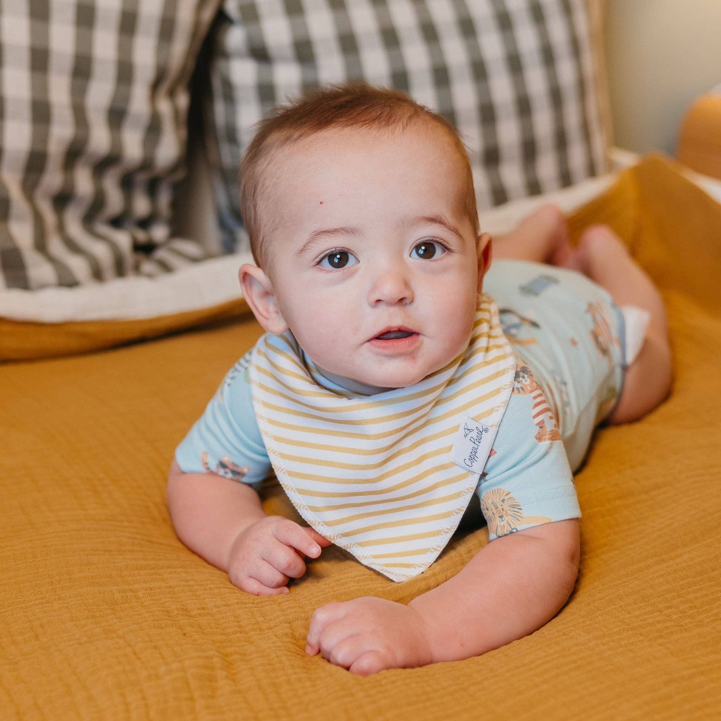 Single Bandana Bib | Speedster