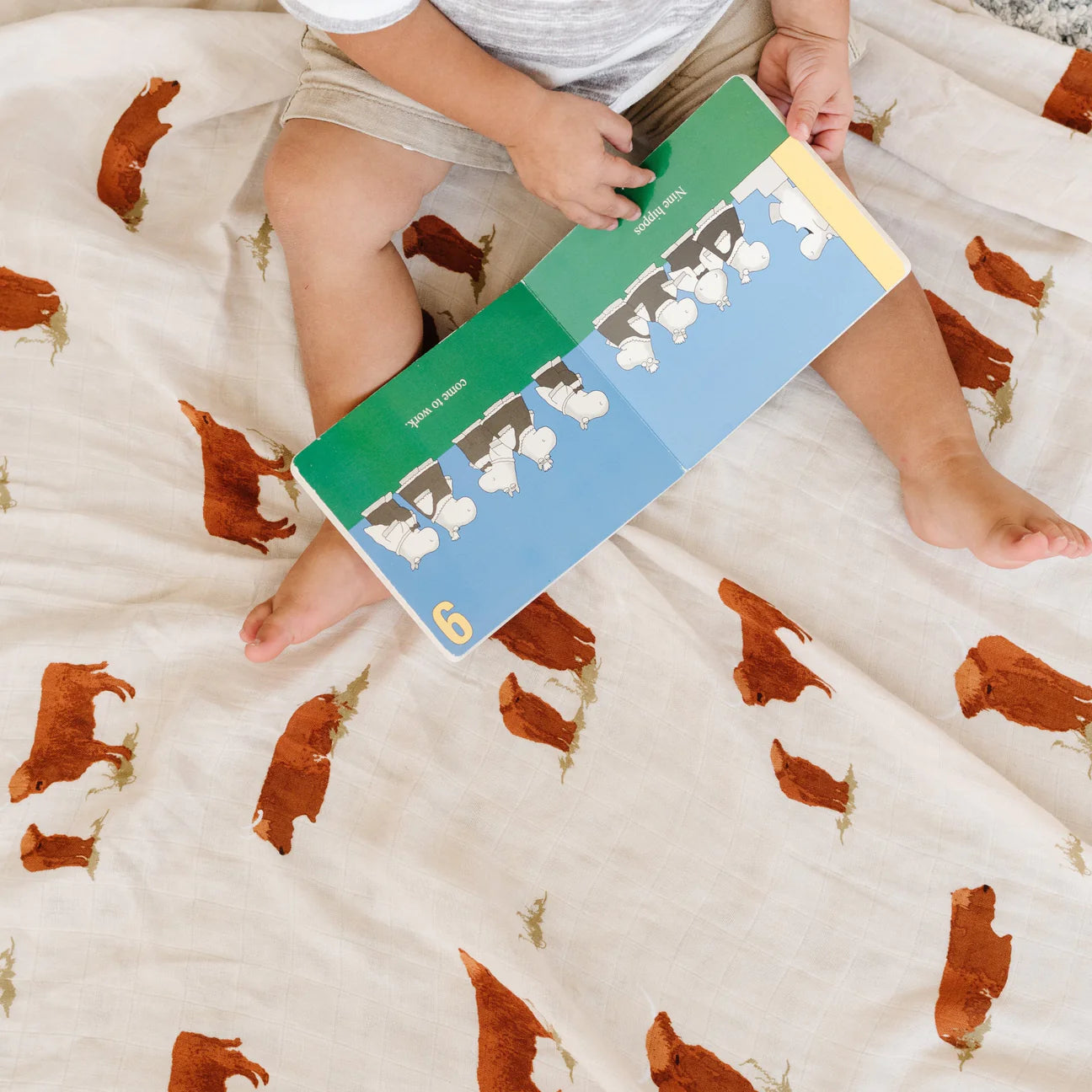 Highland Cow Bamboo Muslin Swaddle Blanket Wiggles & Giggles Stillwater