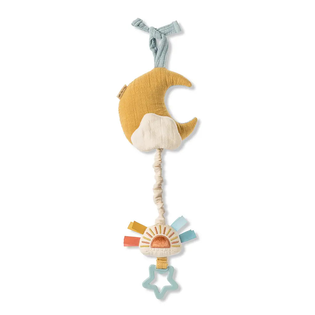 Bitzy Notes Plush Musical Pull-Down Toy