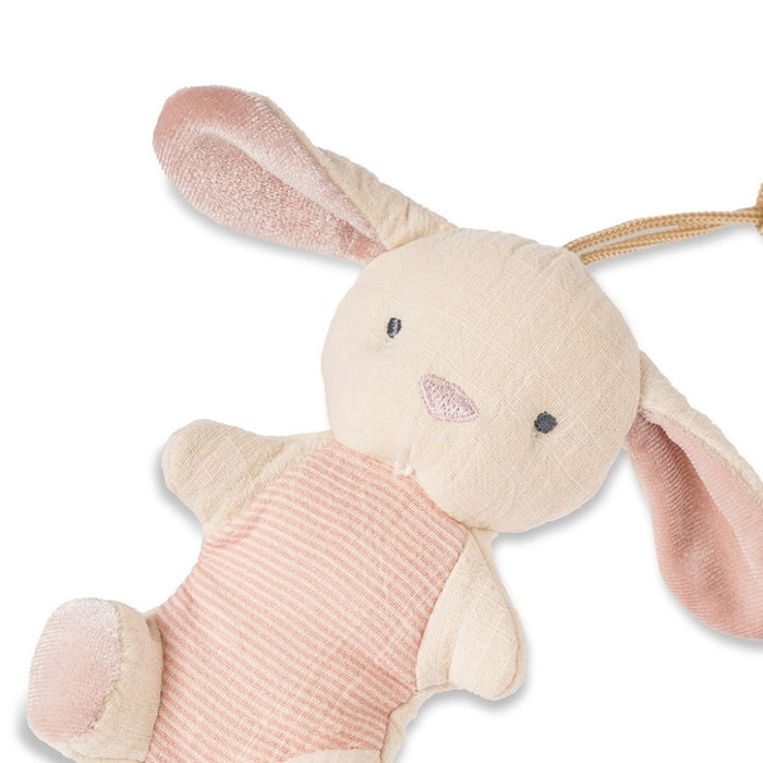 Bunny Bitzy Pal - Natural Rubber Pacifier & Lovey