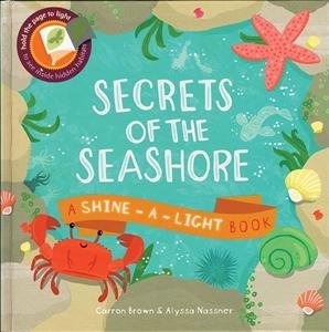 Shine-A-Light Books - Secrets of the Seashore - Kane/Miller Publishing