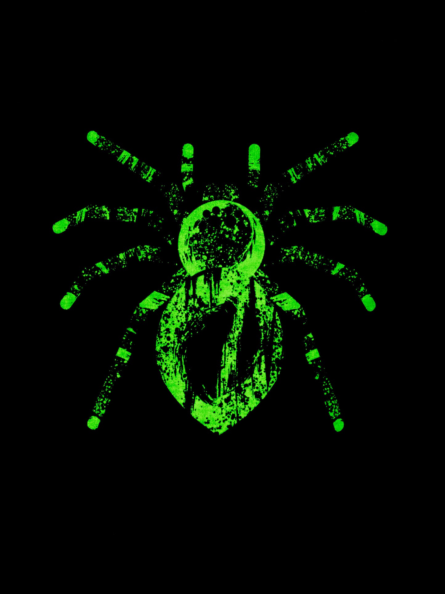 Tea Collection Spider Power Glow Graphic Tee