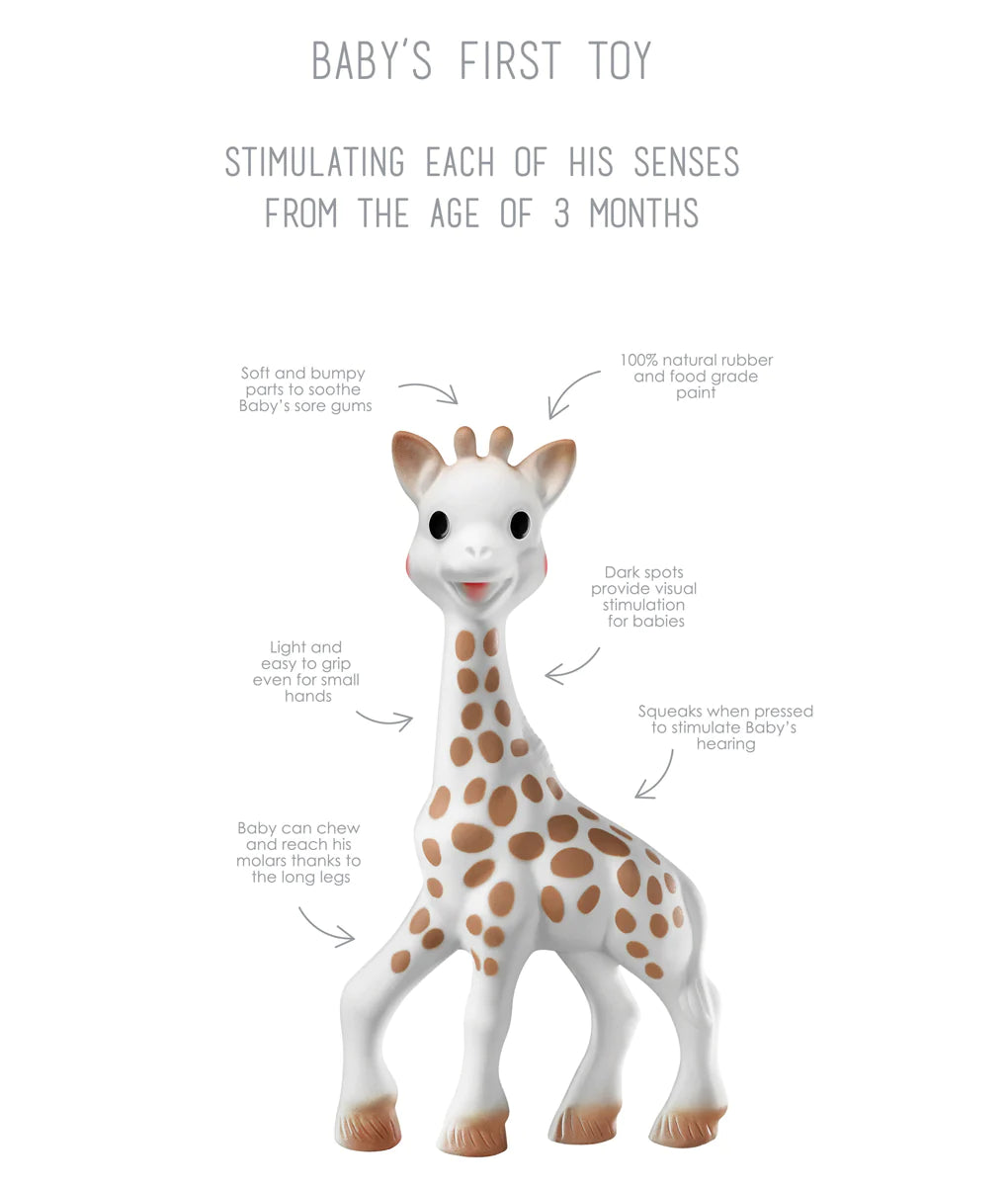 Save the Giraffes Gift Set