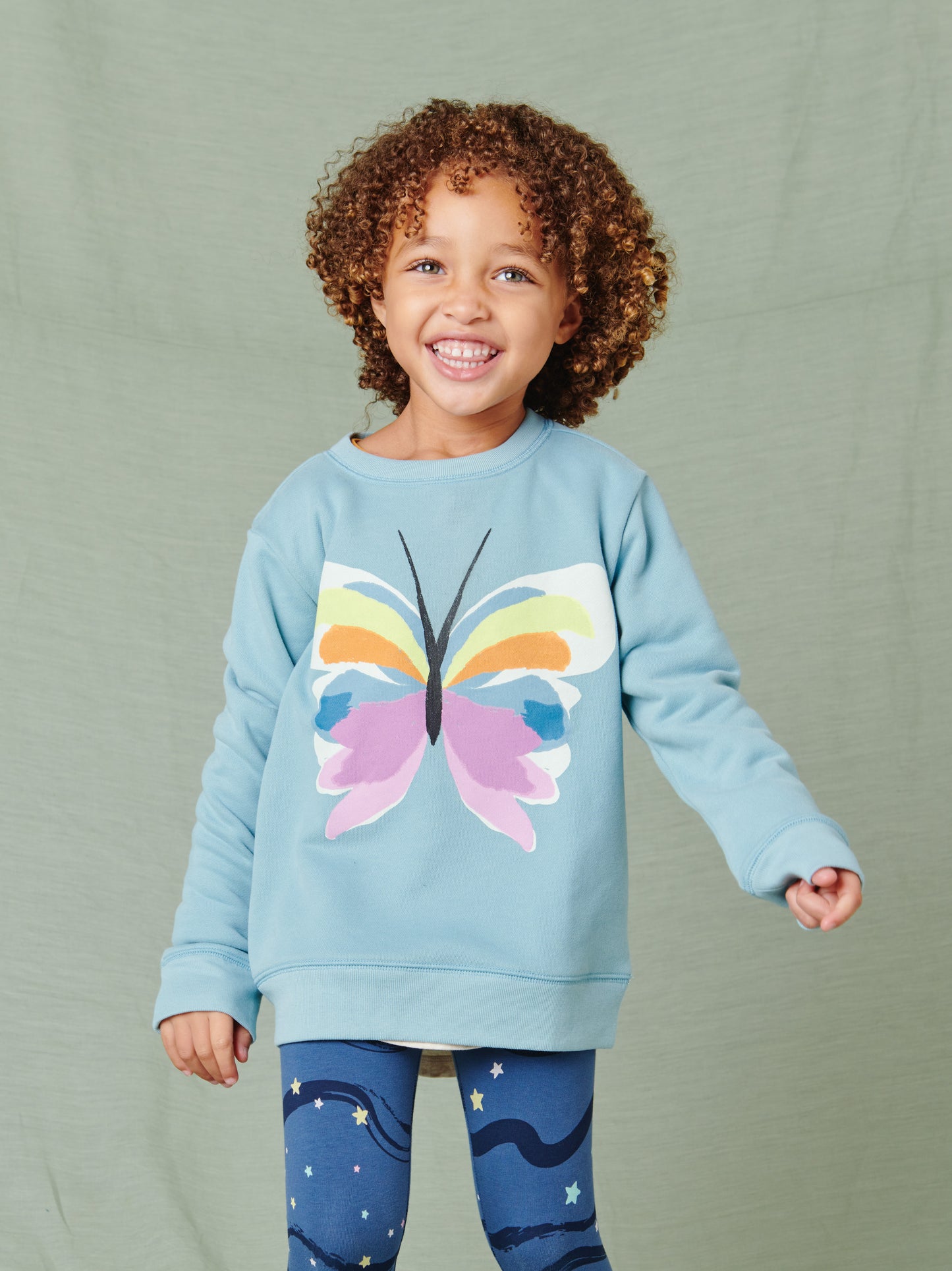 Painted Butterfly Popover