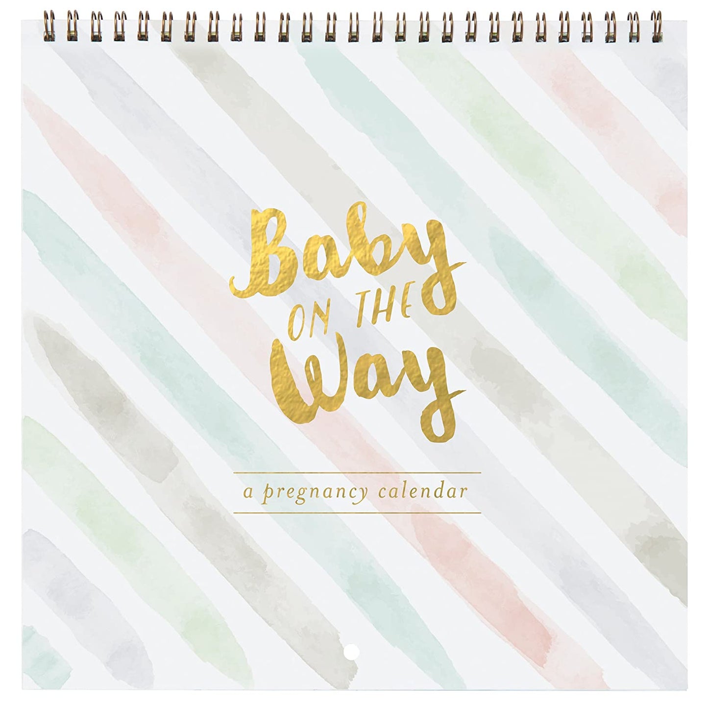 C.R. Gibson Pregnancy Calendar - Baby On The Way