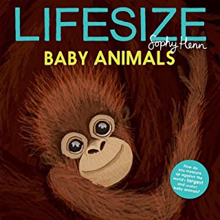 Lifesize Baby Animals - Kane/Miller Publishing