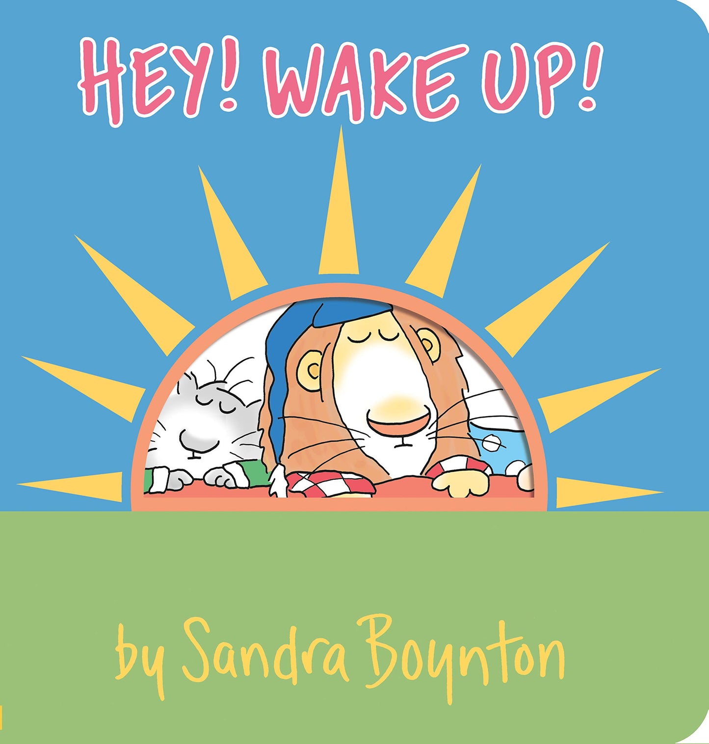 Hey! Wake Up! Board Book by Sandra Boynton