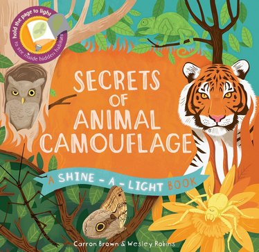 Shine-A-Light Books - Secrets of Animal Camouflage - Kane/Miller Publishing