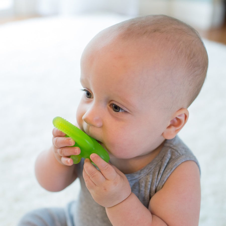 Dr. Brown's Nawgum 3-in-1 Textured Silicone Teether