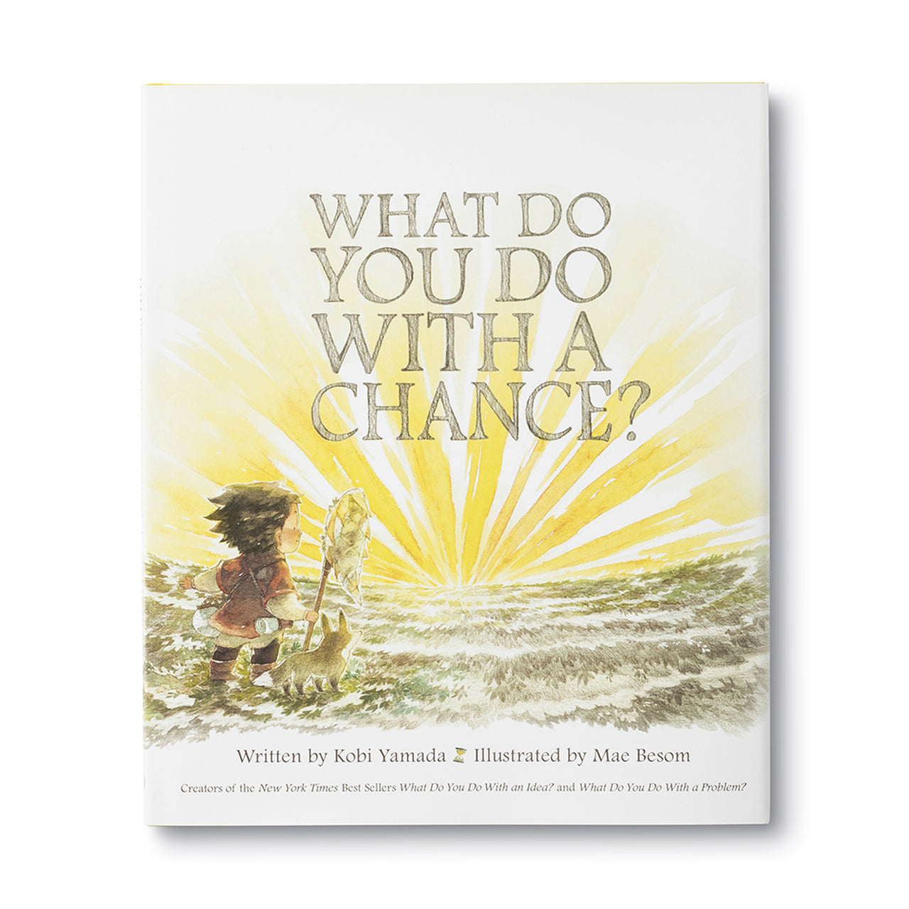What Do You Do With a Chance? - Compendium