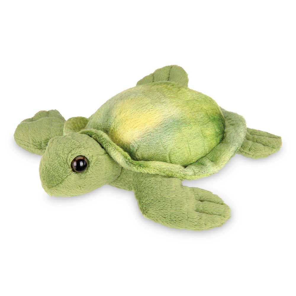 Lil' Shelton the Sea Turtle – Wiggles & Giggles Stillwater