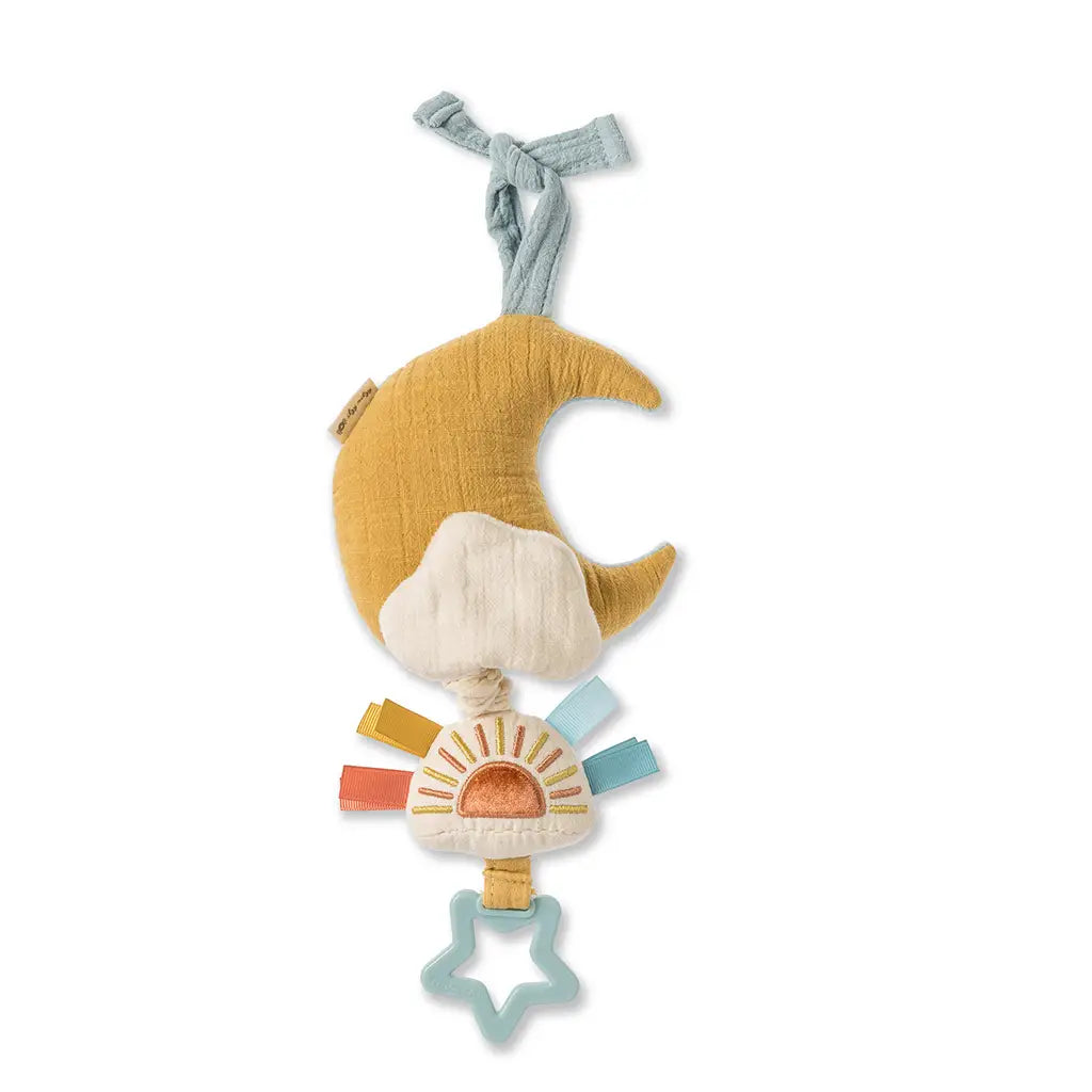Bitzy Notes Plush Musical Pull-Down Toy