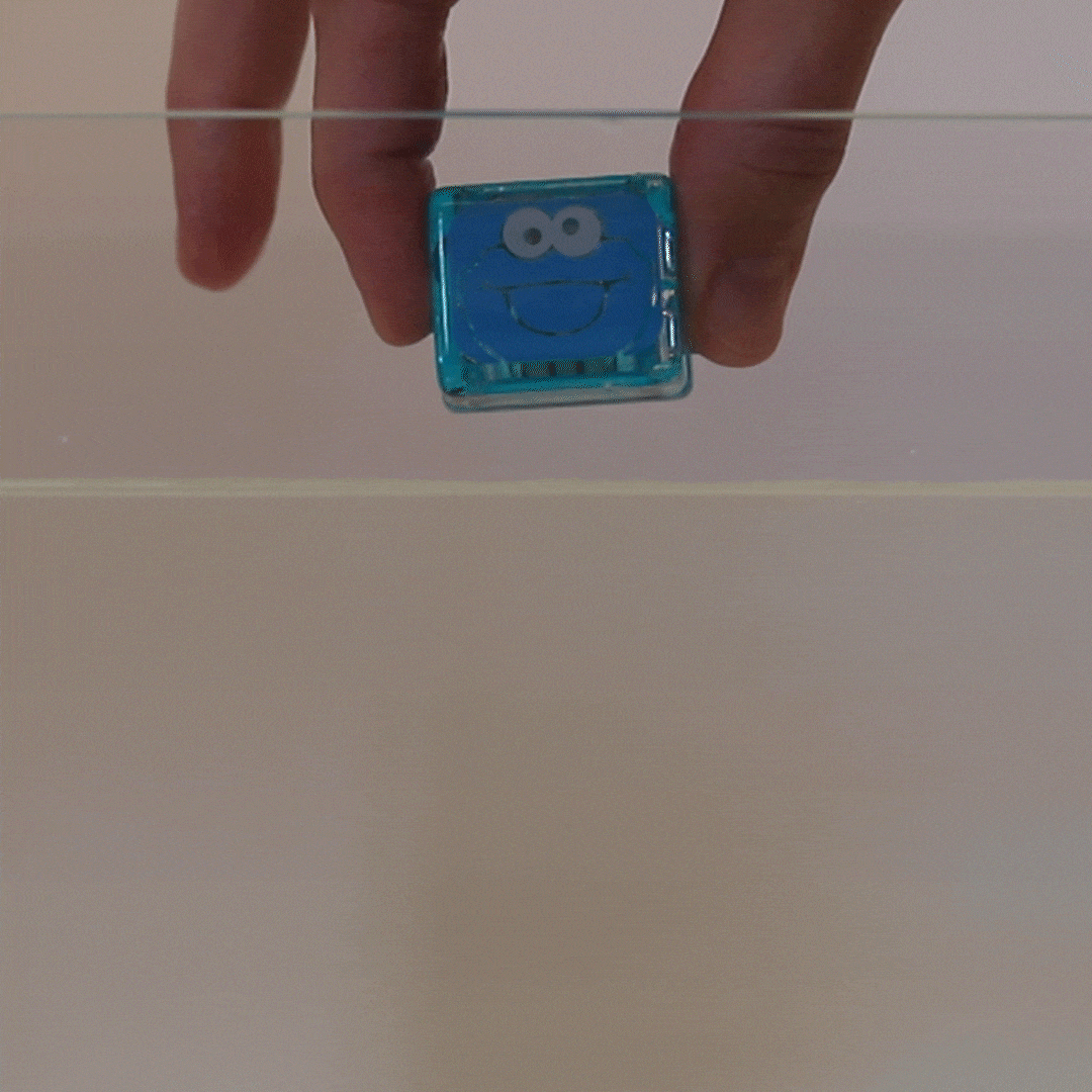 Cookie Monster Light-Up Cubes 4pk