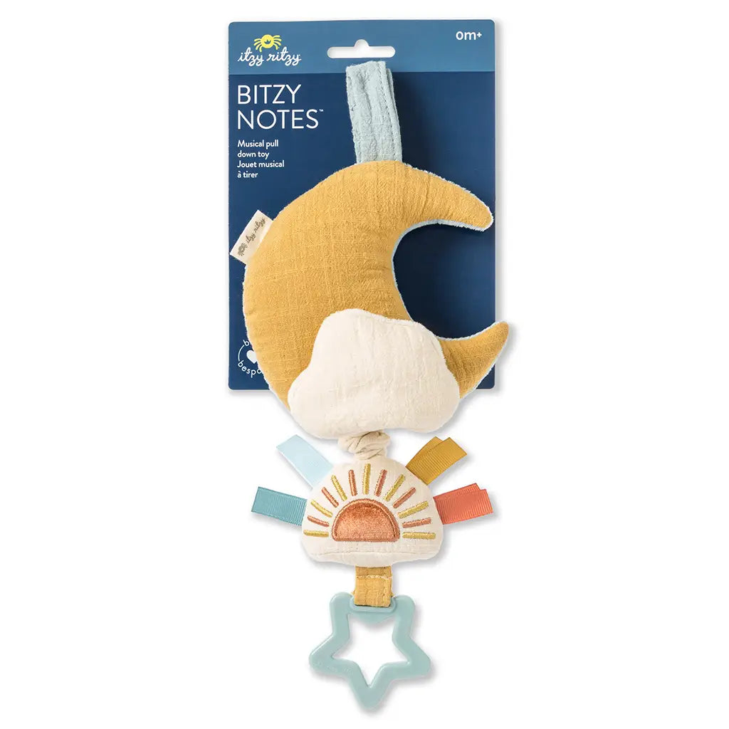 Bitzy Notes Plush Musical Pull-Down Toy