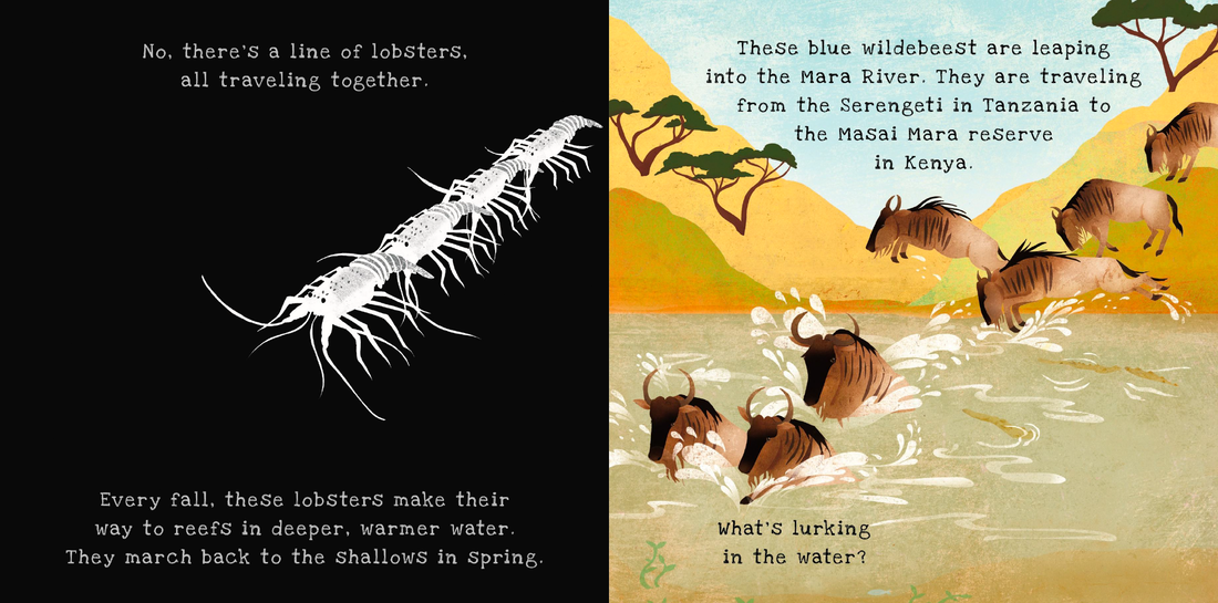 Shine-A-Light Books - Animal Journeys - Kane/Miller Publishing